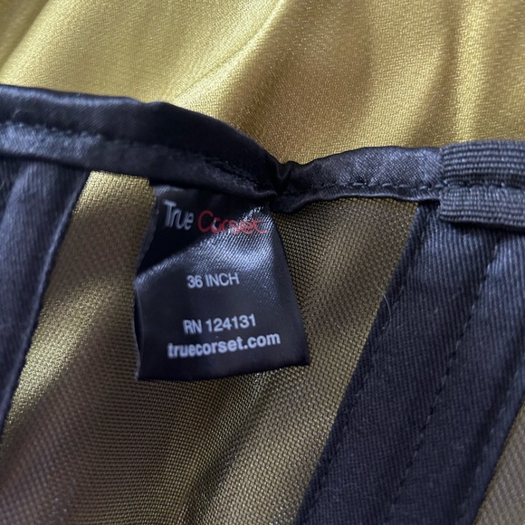 Sheer Corset - Picture 3 of 4